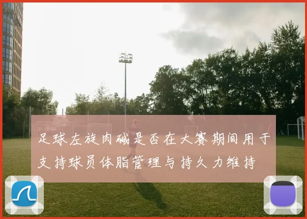 足球左旋肉碱是否在大赛期间用于支持球员体脂管理与持久力维持