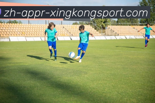 星空体育平台生态图