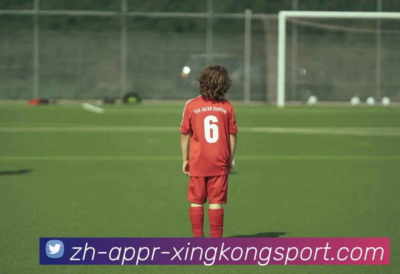 星空体育APP 封面图